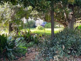 Lote zona industrial general Pacheco