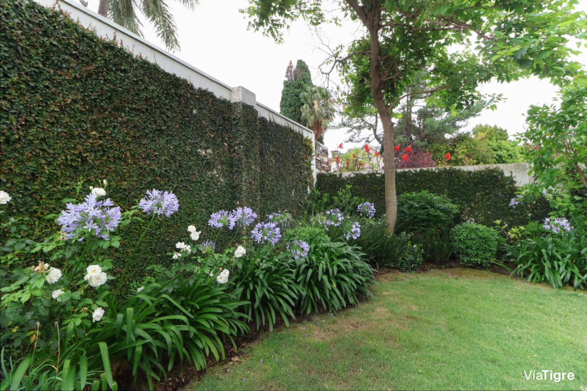 Casa Venta 6 Ambientes Martínez Lote Propio