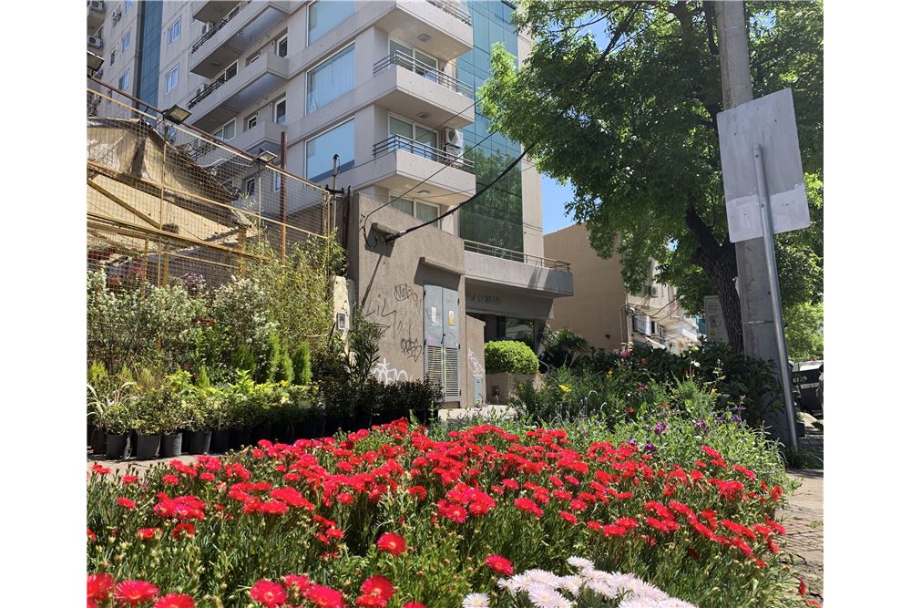alquiler Departamento Beccar 3 ambientes cochera