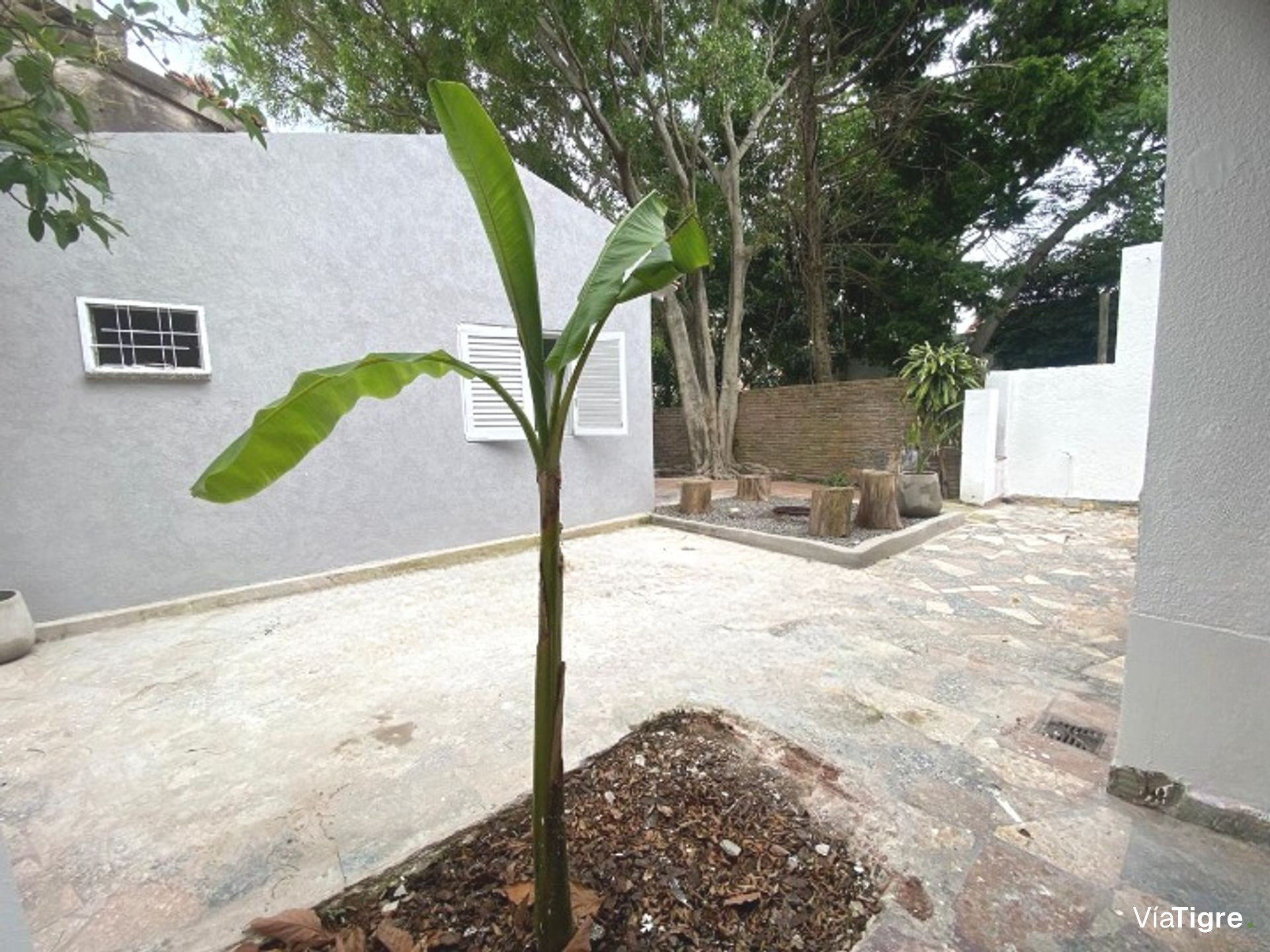 Venta Ph 3 Amb C/ Dpto, Patio Y Cochera - Beccar