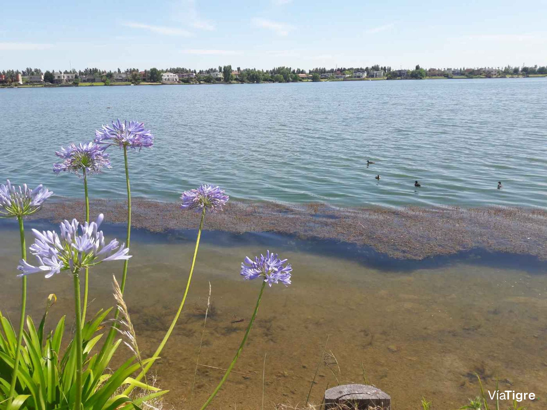 Departamento Venta 3AMB Vista Al Agua VILA VELA