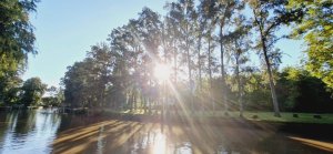 Sale of 3 furnished cabins complex with pool