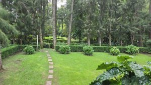 Sale of 3 furnished cabins complex with pool