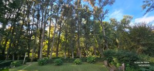 Sale of 3 furnished cabins complex with pool