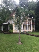 FOR SALE HOUSE IN DELTA DEL TIGRE - 2375 m² LAND