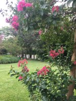 Seasonal house rental, Santa Barbara, 5 rooms, January