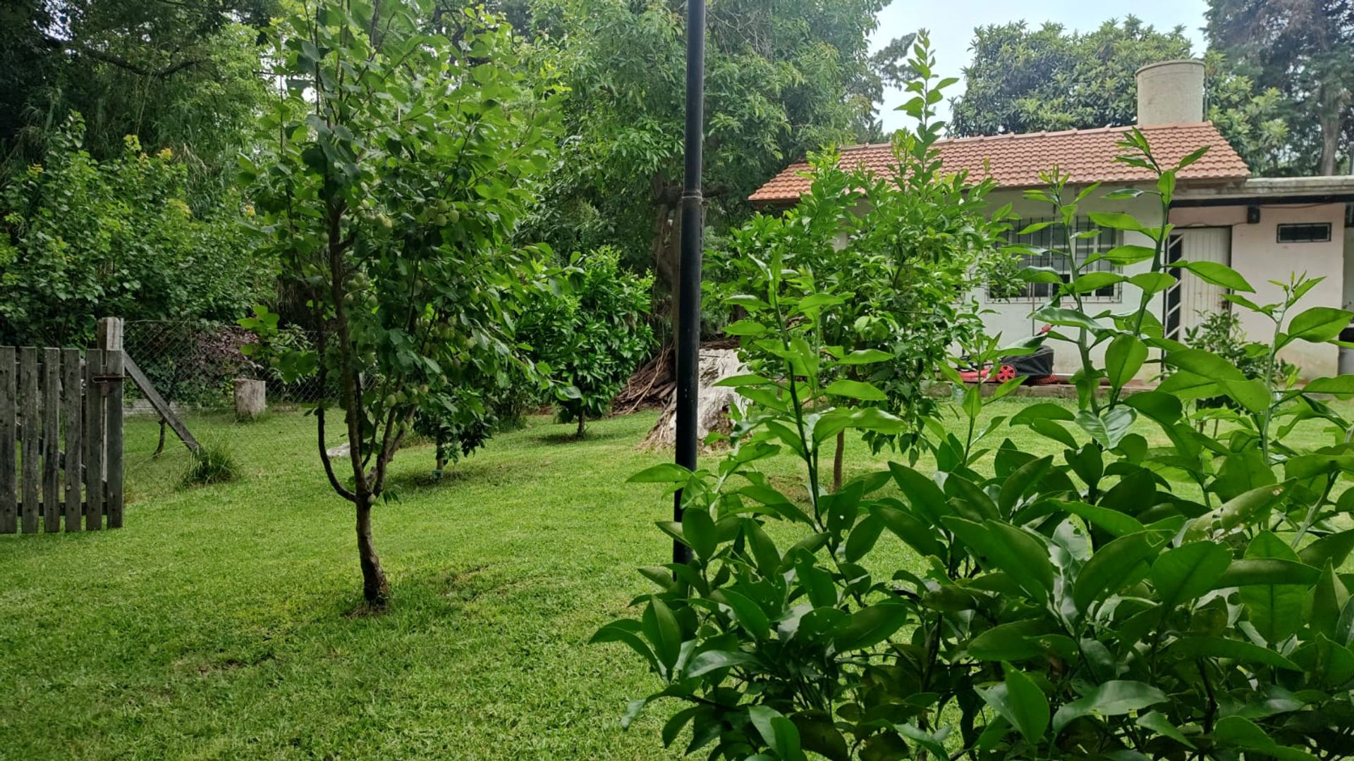Casa 4 amb Quinta Venta-Ricardo Rojas-Lote 1260 m2