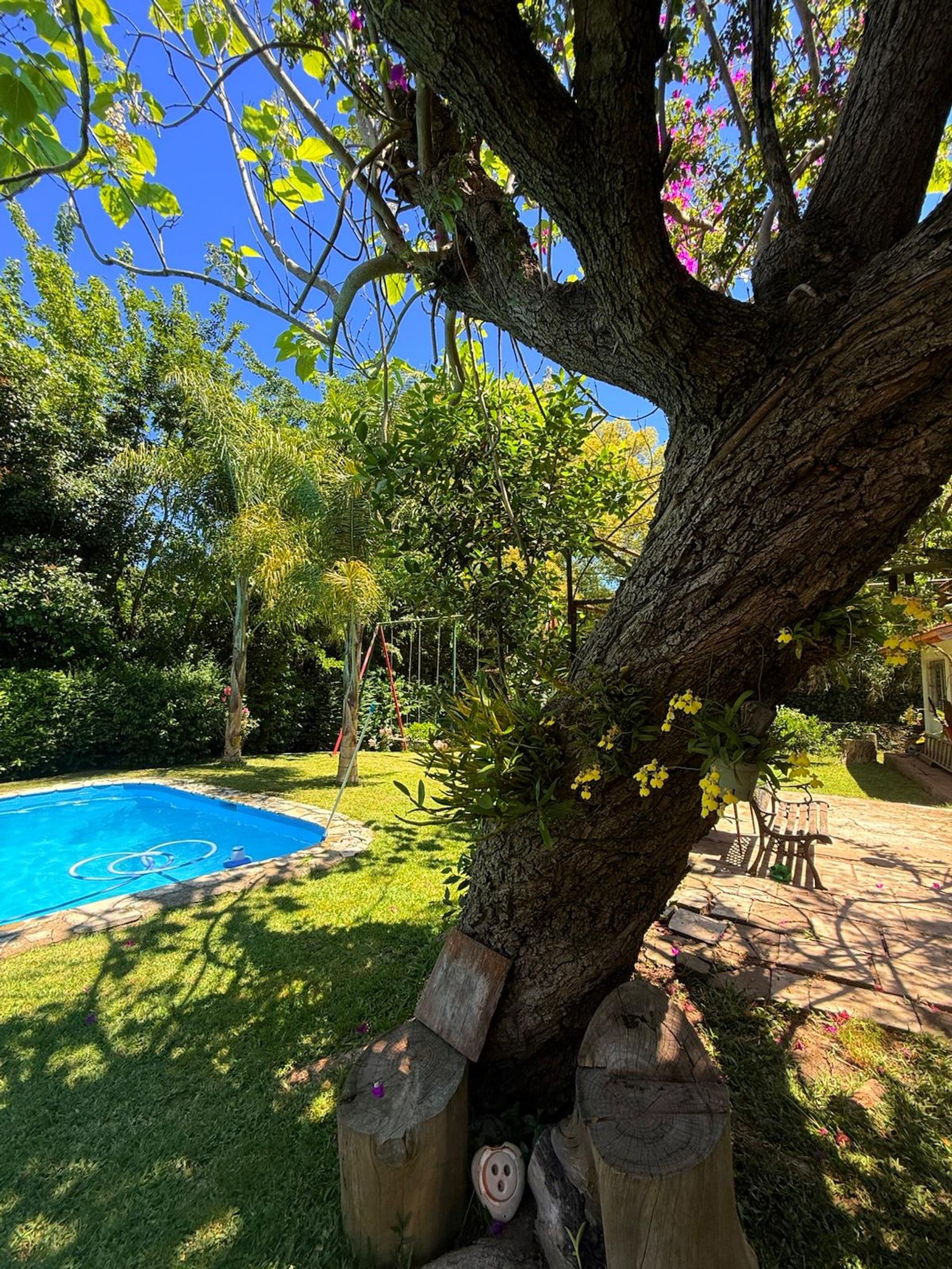 Casa 4 amb Quinta Venta-Ricardo Rojas-Lote 1260 m2