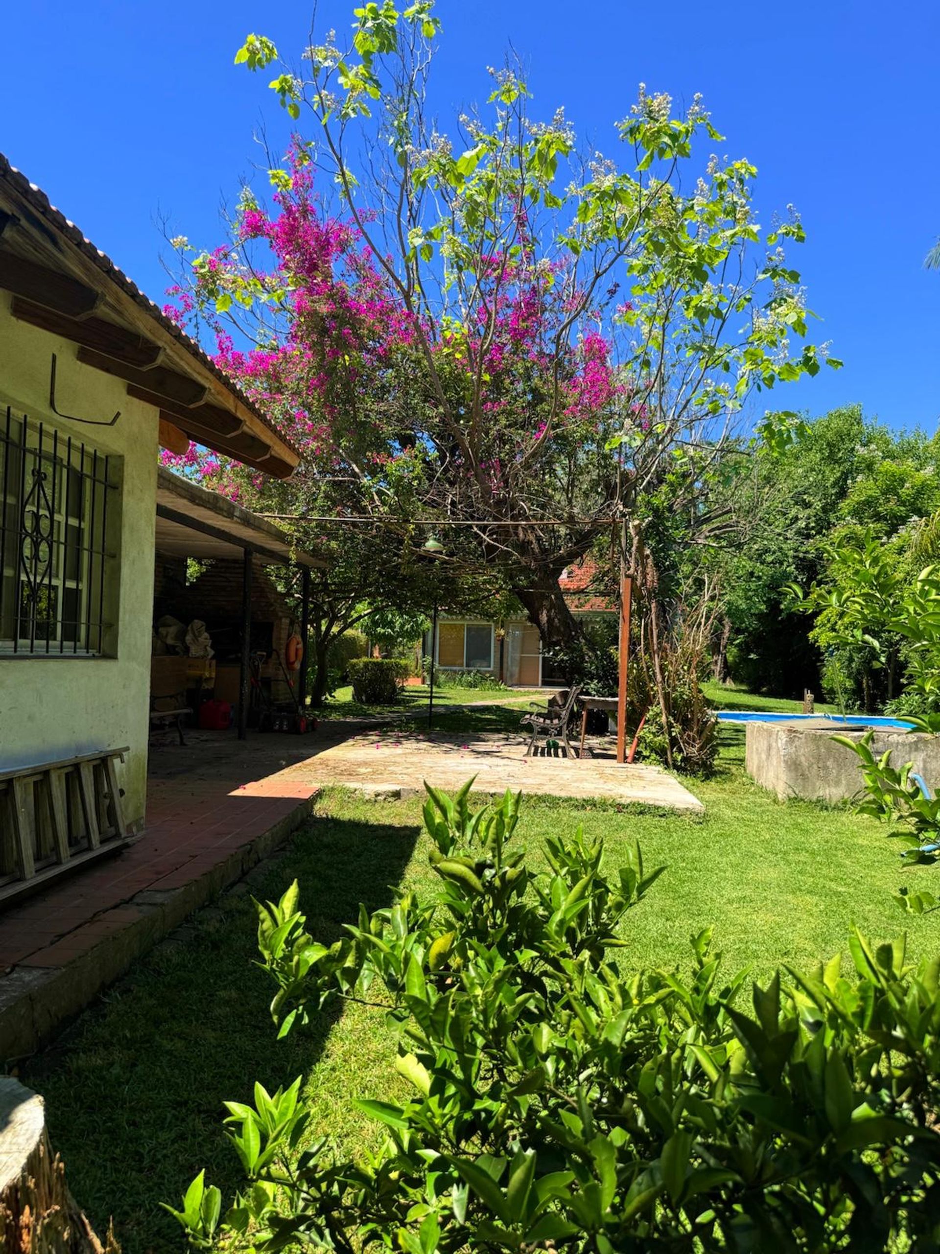 Casa 4 amb Quinta Venta-Ricardo Rojas-Lote 1260 m2