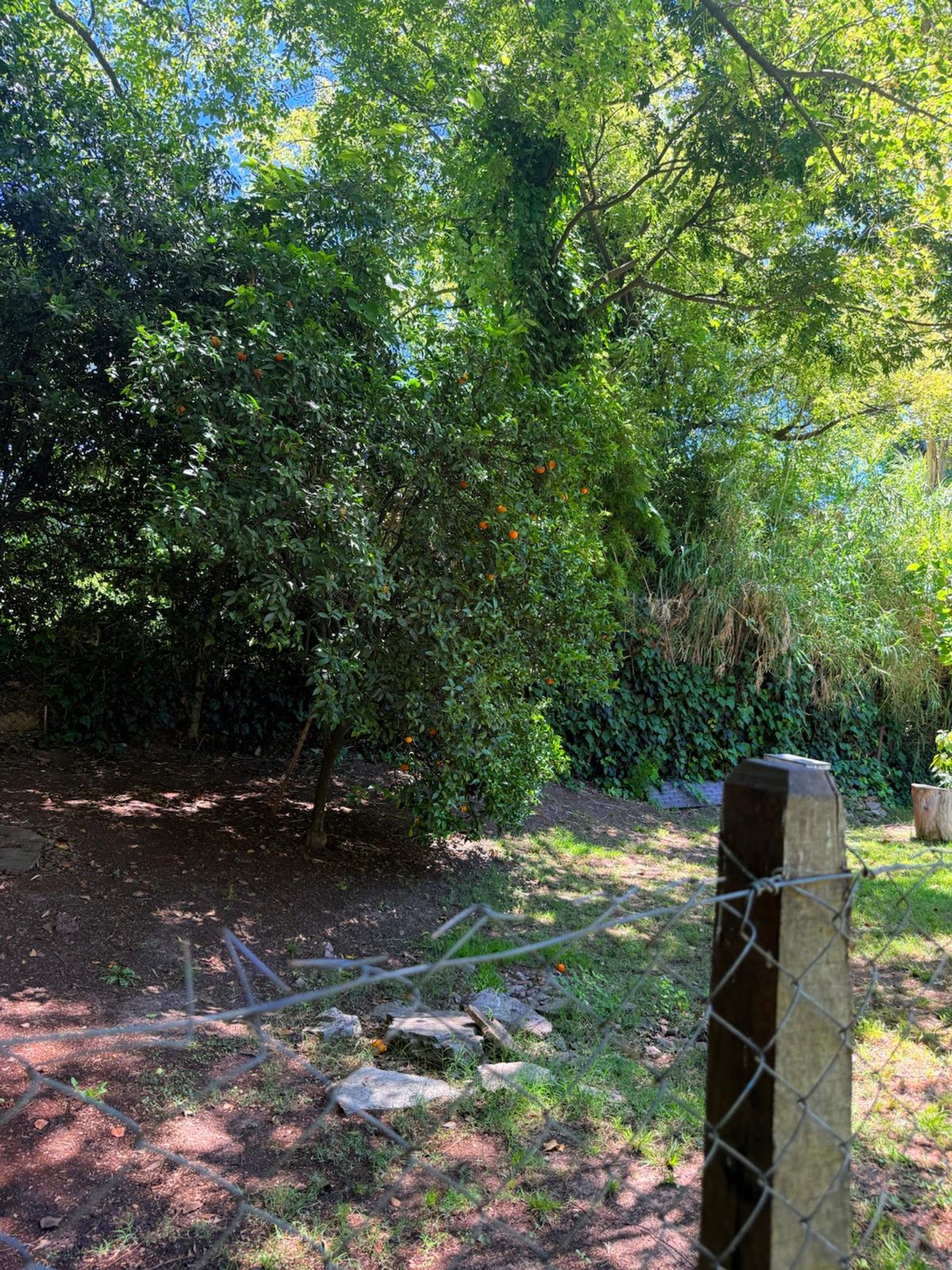 Casa 4 amb Quinta Venta-Ricardo Rojas-Lote 1260 m2