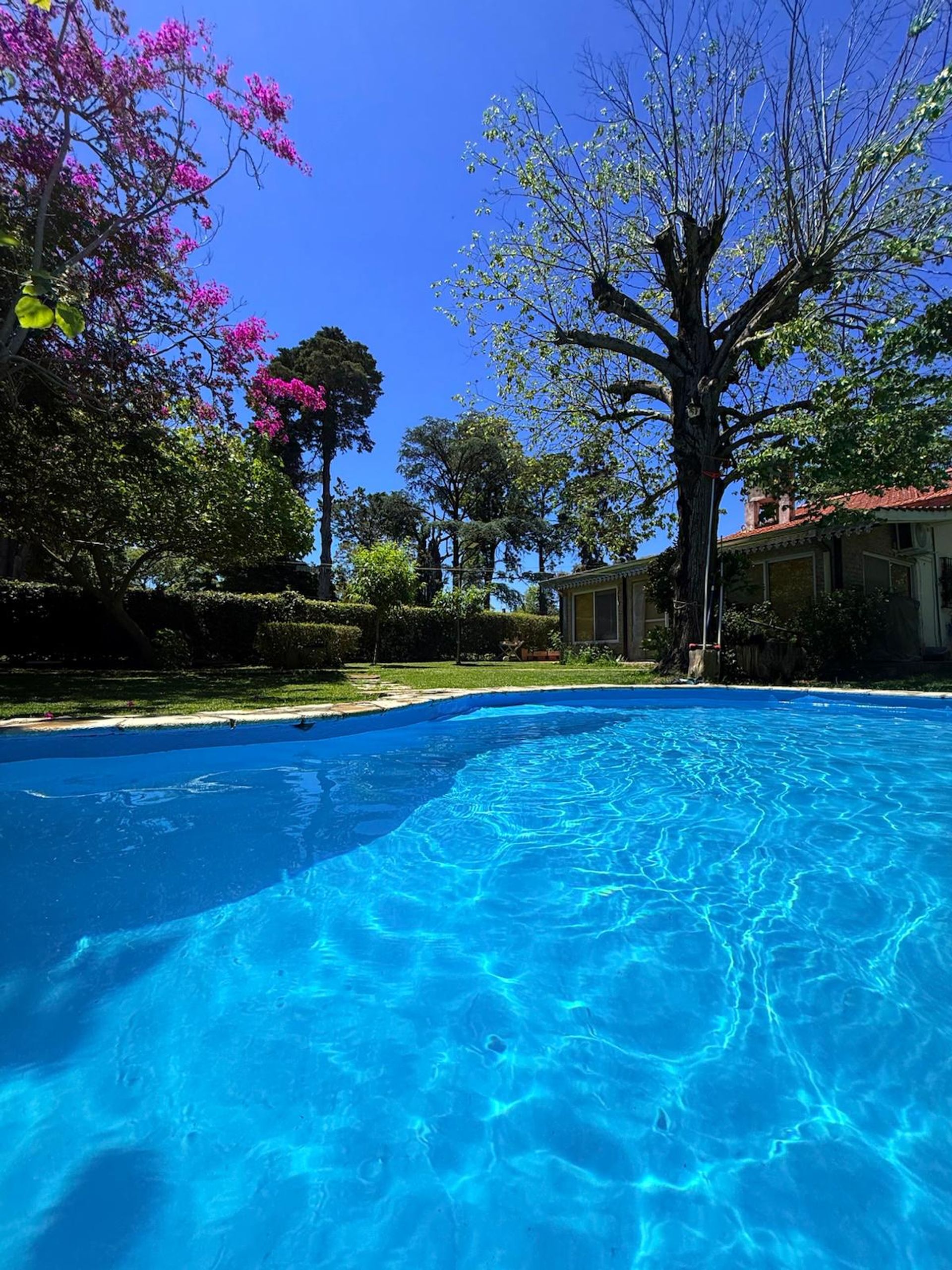 Casa 4 amb Quinta Venta-Ricardo Rojas-Lote 1260 m2