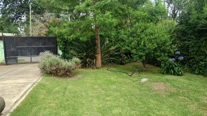 Casa 4 amb Quinta Venta-Ricardo Rojas-Lote 1260 m2