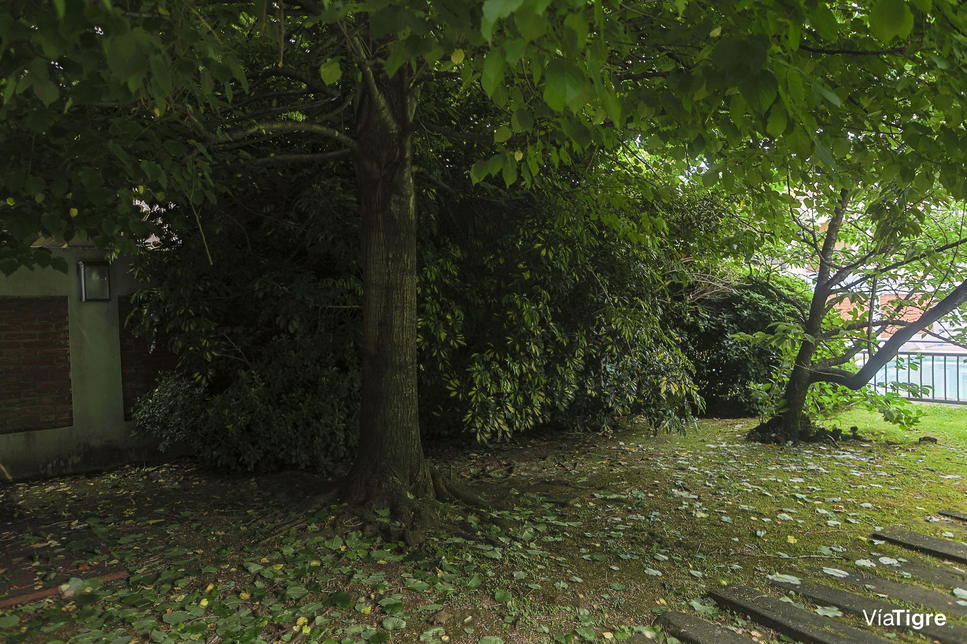 Venta Bajo Olivos Casa 4 Amb Jardin Quincho Pileta