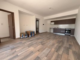Brand-new 2-room apartment for rent in Tigre Center