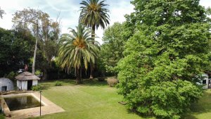 Lot and project 2200 constructible meters Cno La Bota