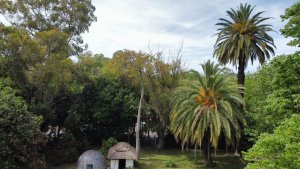 Lot and project 2200 constructible meters Cno La Bota