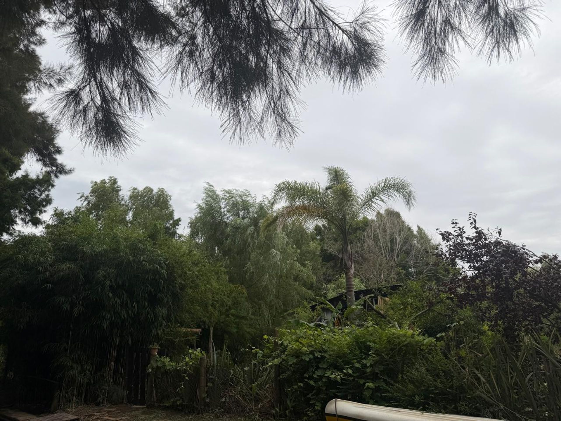 Venta de Cabaña en el Delta