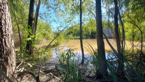 Lote en tierra y agua para casa flotante