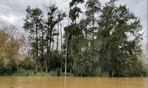Lote en tierra y agua para casa flotante