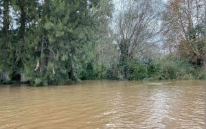 Lote en tierra y agua para casa flotante