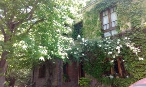 VENTA CASA 4 amb con Pileta Jardin TIGRE CHICO