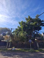Lot for Sale Vicente Lopez