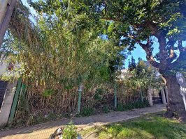 Lot for Sale Vicente Lopez