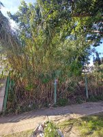 Lot for Sale Vicente Lopez