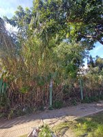 Lot for Sale Vicente Lopez