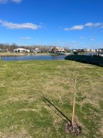 Lote 636m² Salida a Laguna en Santa Ana Villanueva