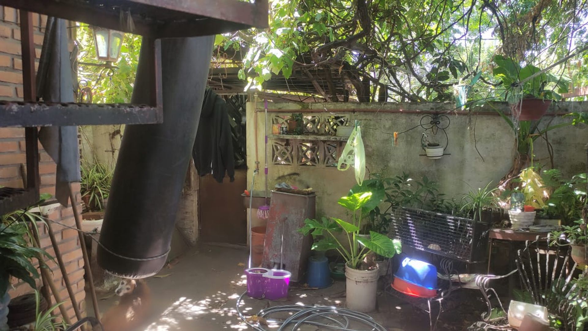 Venta Casa Y Local A Reciclar En Villa Adelina