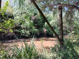 Terreno en Delta Tigre - 5000 m2