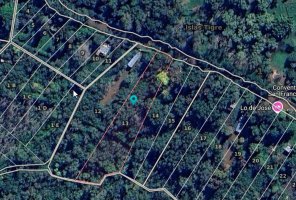 Terreno en Delta Tigre - 5000 m2