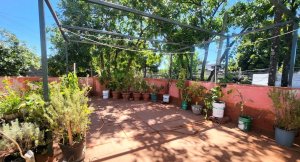 Casa En Venta 5 Ambientes Con Terraza En Olivos