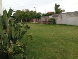 Lot for Sale Benavidez Apartment Industrial Shed