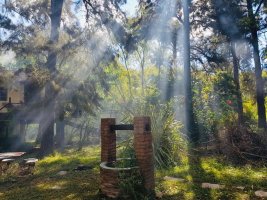 Se vende Isla Rio Urion, Delta Tigre (c/ 2 casas)