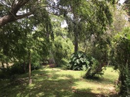 Se vende Isla Rio Urion, Delta Tigre (c/ 2 casas)