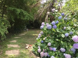 Se vende Isla Rio Urion, Delta Tigre (c/ 2 casas)