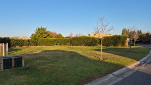 Sale of Internal Lot – Location, Price