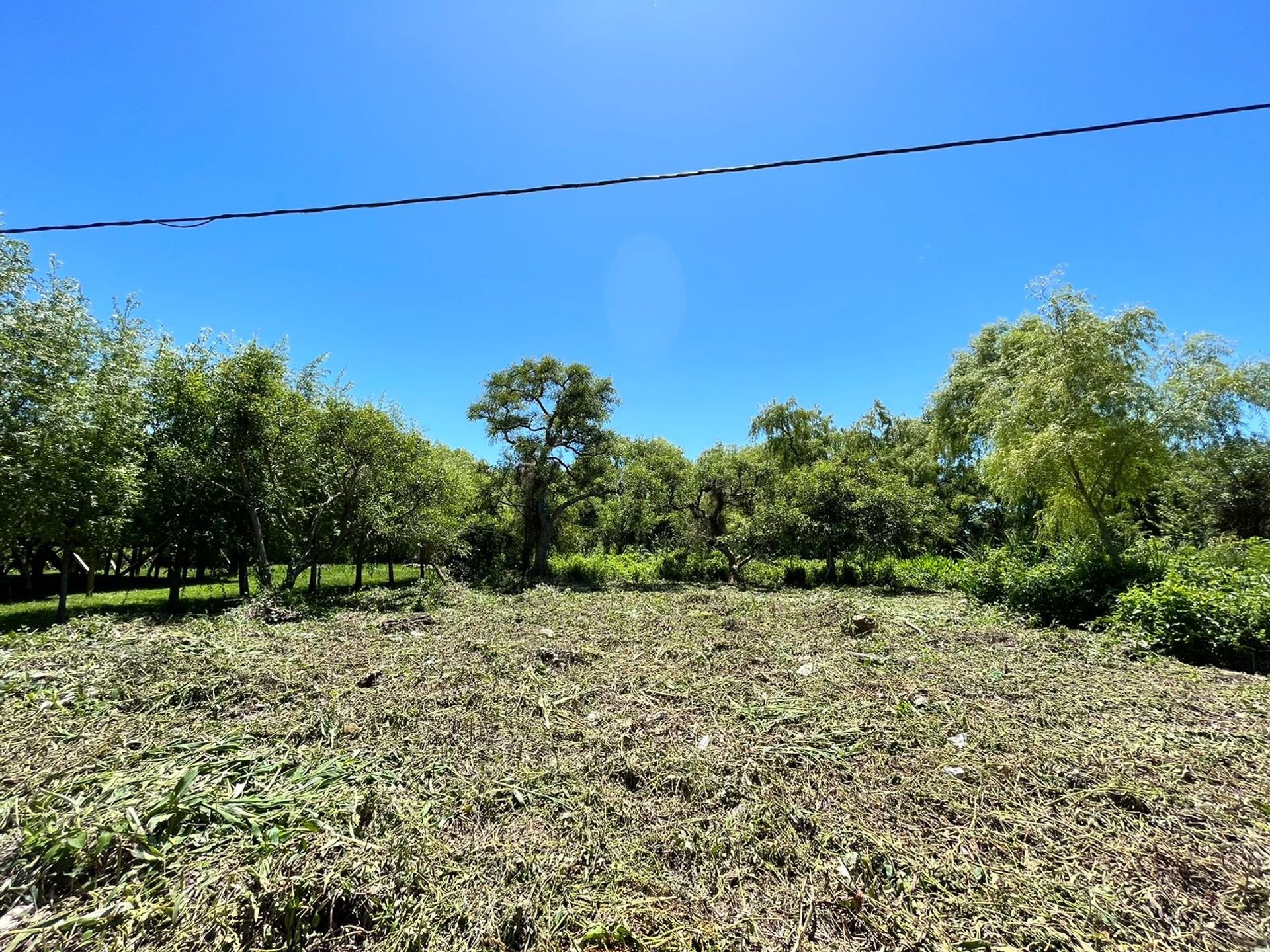 Venta Lote Delta Rio Parana De Las Palmas