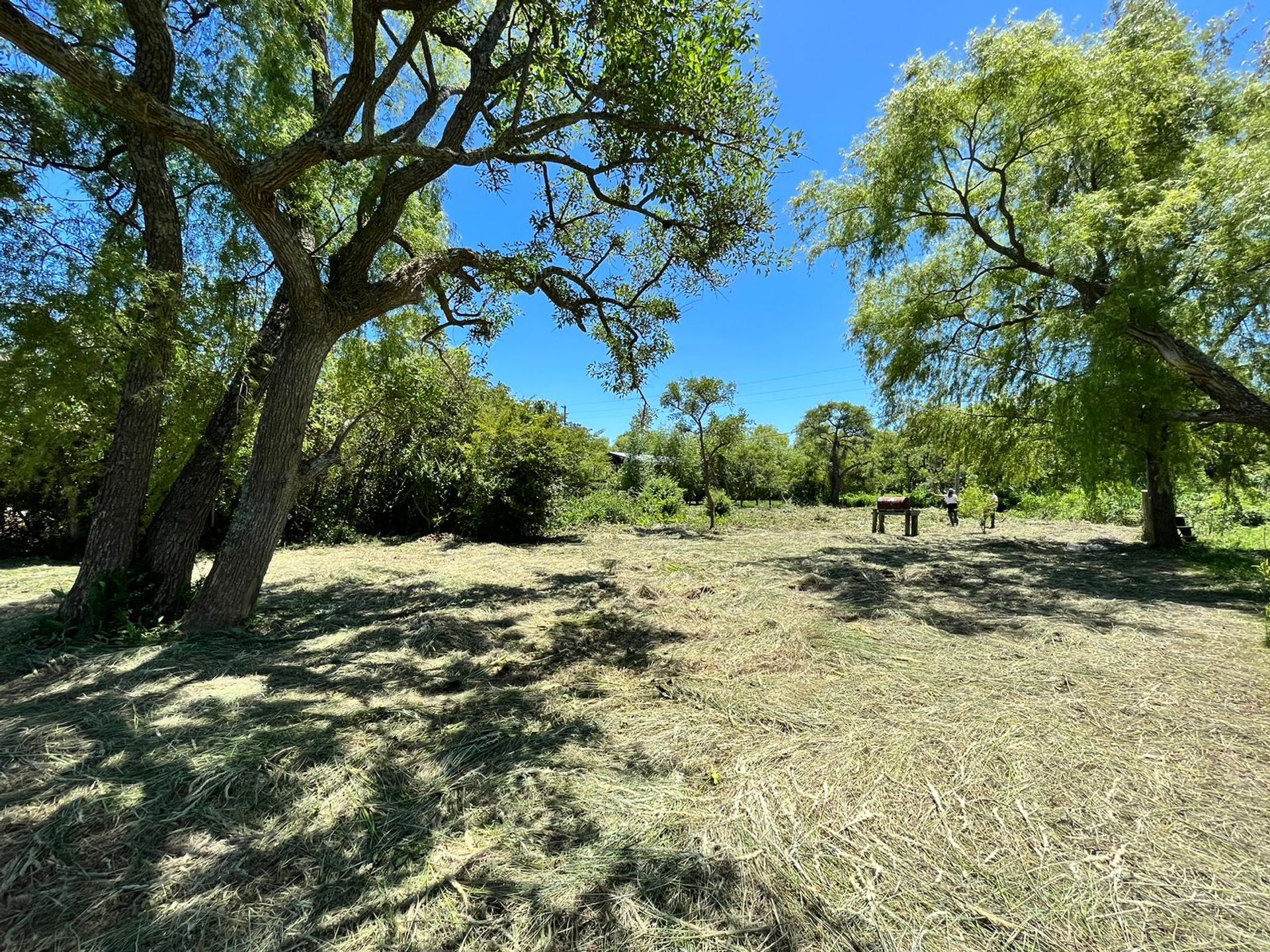 Venta Lote Delta Rio Parana De Las Palmas