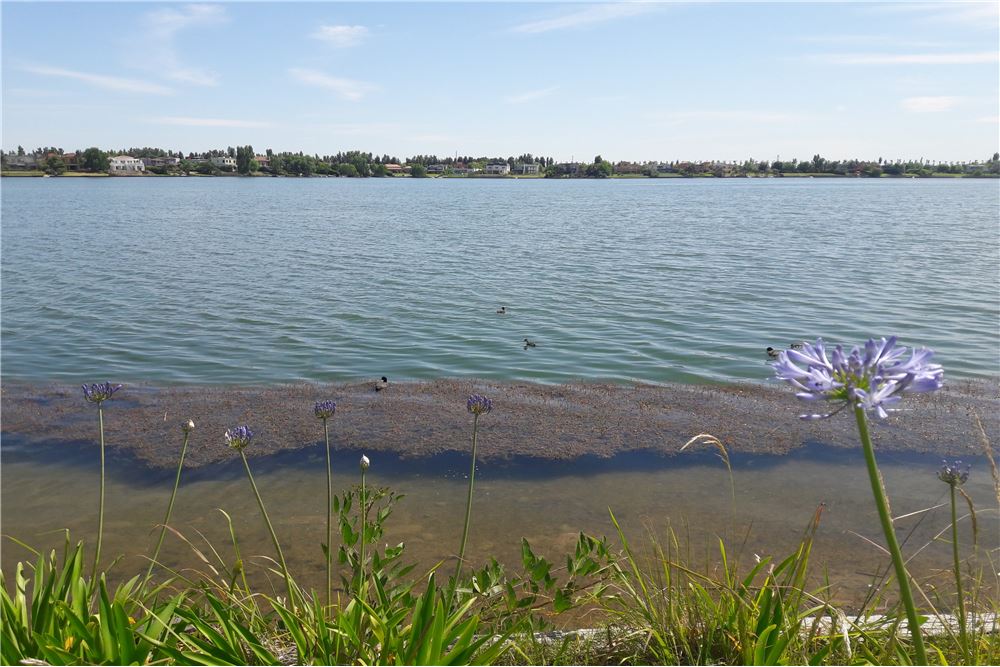 Venta 2 Ambientes Al Agua Con 2 Terrazas Vila Vela