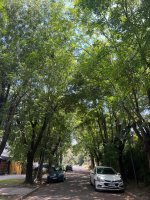 Lote en venta Bello Horizonte