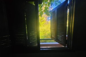 Venta Casa En Isla Del Tigre Lote Propio