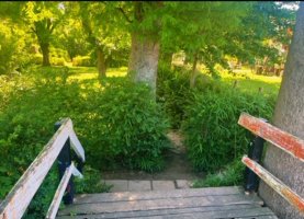 Venta Casa En Isla Del Tigre Lote Propio