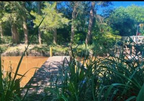 Venta Casa En Isla Del Tigre Lote Propio