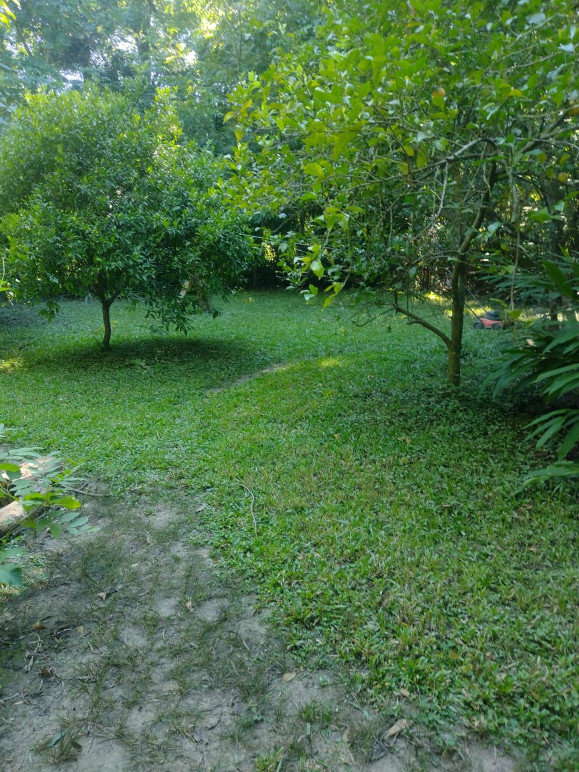 Casa Sobre El Canal Rompani Excelente