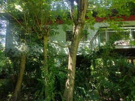 Excellent House Over the Rompani Canal