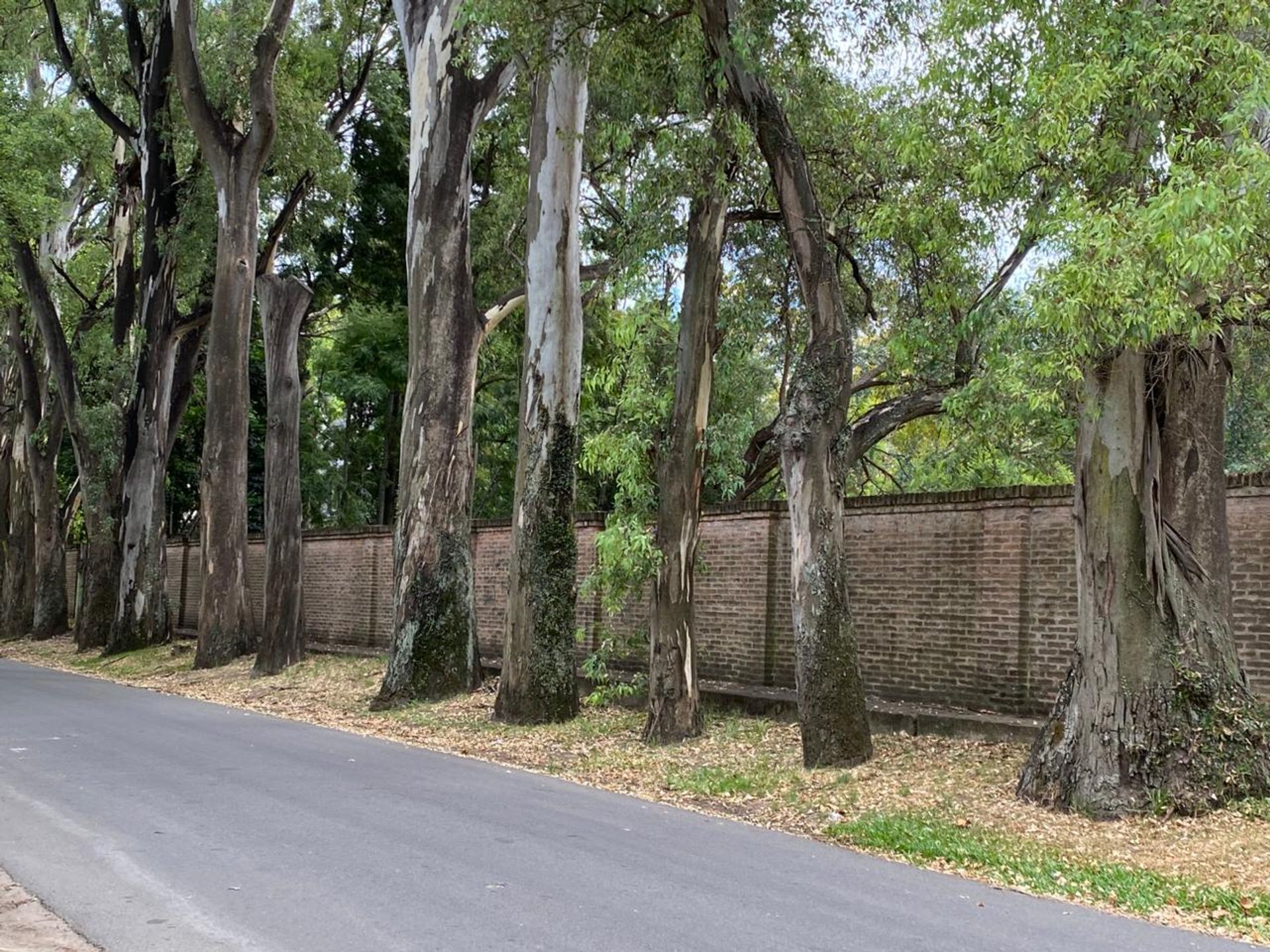 Lote Venta Barrio Cerrado Lomas San Isidro