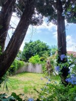 Excelente lote ideal inversor o vivienda familiar